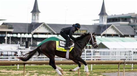 Forte placed on KY veterinary list, clouding Preakness plans